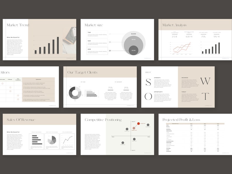 May include: A business presentation with charts and graphs showing market trends, size, analysis, target clients, sales of revenue, competitive positioning, SWOT analysis, and projected profit and loss.