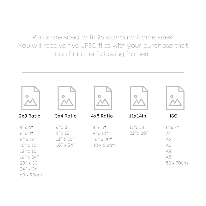 White Lily Flower Black and White Photography Series 5 | Printable Wall ...