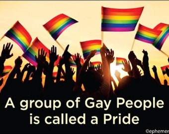 A group of gay people is called a Pride. Refridgerator Magnet