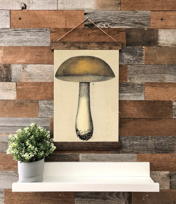 Mushroom Hanging Canvas Print Wall Art Apartment Decor Etsy