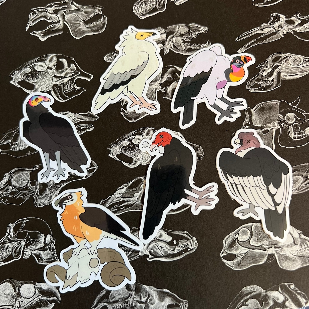 Vulture Culture Sticker Pack - Etsy