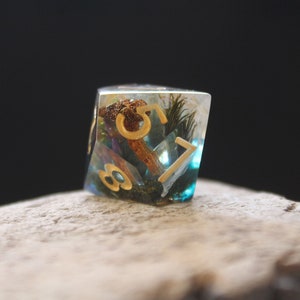 Woodland D10 Dice: Real Moss, Mushroom, and Flowers - RPG DnD