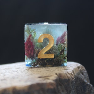 Floral Mega Dice D6 rpg 24mm Real Flowers Moss Resin Playing dice D6 for RPG game Dungeons and dragons D&D Unique handmade gift Board Games