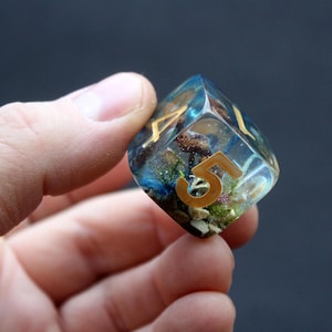 Mega Dice D6 rpg with Real Mushroom Giant 24mm Moss Floral Resin Playing dice D6 for RPG game Dungeons and dragons Woodland Terrarium D&D