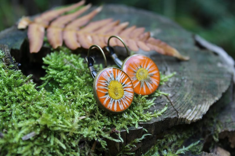 resin flowers jewelry friendship gift girl pressed flower dried plants,daisy drop earrings Real daisy earrings botanical earrings