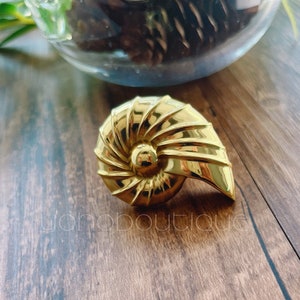 Puede incluir: Un broche de concha de nautilus de color dorado. La concha está detallada con crestas y un patrón en espiral.