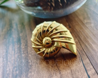 Solid Brass Conch Knob: Coastal Cabinet & Drawer Pull -BHK153