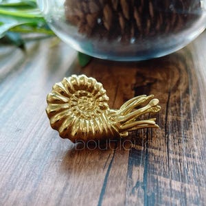 May include: A gold-coloured ammonite fossil replica, featuring a spiral design with detailed ridges. The fossil has a textured surface and is displayed on a wooden background.