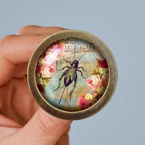 Puede incluir: Un pin redondo de color latón con una cúpula de vidrio que presenta una ilustración vintage de un grillo sobre un fondo floral con notas musicales.