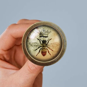 Może przedstawiać: Okrągły, mosiężny, ozdobny gałka z wkładką szklaną przedstawiającą vintage ilustrację pszczoły w koronie. Pszczoła jest brązowa i czarna z rozłożonymi skrzydłami. Tło jest wyblakłe żółte i brązowe.
