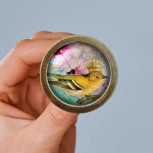 May include: A round, gold-toned, decorative knob with a glass insert featuring a yellow bird wearing a gold crown. The bird is perched on a branch with a pink and blue floral background.