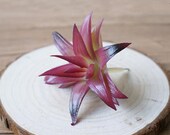 Artificial Succulents, Faux Succulents, Imitation Succulents, Miniature garden, DIY Plants for Home Decor DR035