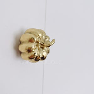 Könnte beinhalten: Ein goldfarbener, metallischer Haken in Form eines Kürbisses.