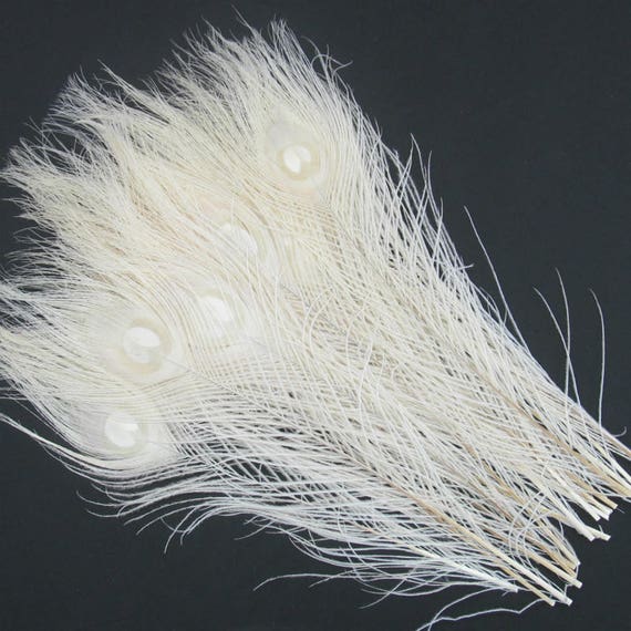2pcs White Peacock Feather 25 30cm 10 12 Inches Feathers Etsy 2pcs White Peacock Feather 25 30cm 10 12 Inches Feathers Etsy