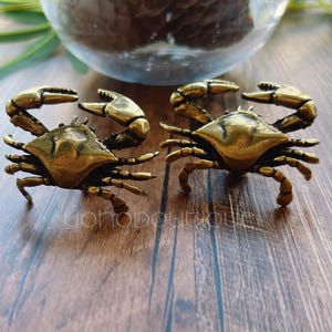 Peut inclure: Deux figurines de crabes en bronze avec des pinces et des pattes détaillées sont présentées sur une surface en bois. Les crabes sont positionnés face à face, mettant en valeur leur design complexe. L'arrière-plan comprend un globe en verre et de la verdure.