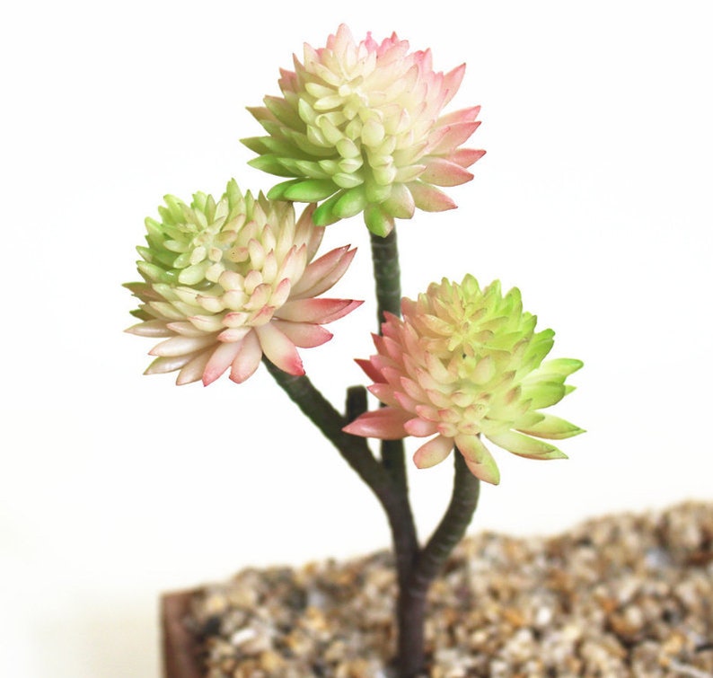 Artificial Succulents Faux Succulents Imitation Succulents DIY Plants for Home Decor DR273 Miniature garden