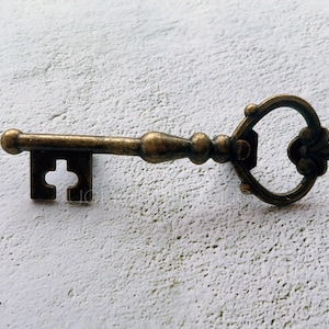 Poignée d'armoire à clés : bouton de commode en alliage de zinc, 4,7 po. de long -FGHK038