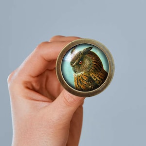 Owl Glass Knob: Handmade Dresser Drawer Pull - Vintage Bronze Finish -CAB018