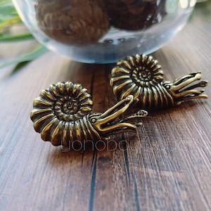 Könnte beinhalten: Zwei antike Ammoniten-Skulpturen in Messingfarbe. Die Skulpturen weisen detaillierte Spiralmuscheln und Tentakel auf. Die Objekte befinden sich auf einer Holzoberfläche. Im Hintergrund befindet sich eine Glasschale mit dunklen Objekten.
