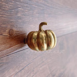 Könnte beinhalten: Ein goldfarbener, kürbisförmiger Schrank-Knopf.
