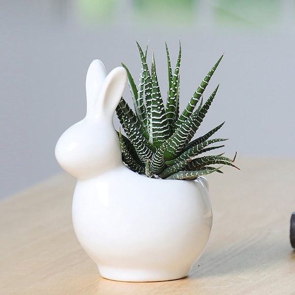 Rabbit Ceramic Flower Pot Succulent Ceremic Planter Pottery Home Decor Airplant Holder Home Decor Office Decor HP029
