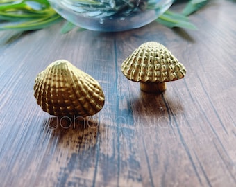 Shell Knob Solid Brass Cabinet Knob: Coastal Dresser Drawer Pull -BHK064
