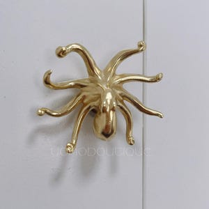 Könnte beinhalten: Goldener, achteckiger Türknopf oder Schrankgriff.