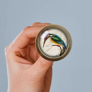 May include: A round, brass-coloured knob with a glass insert featuring a vintage illustration of a blue and green bird perched on a branch.