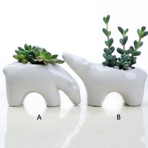 Polar Bear Ceramic Flower Pot Succulent Ceremic Planter Pottery Home Decor Airplant Holder Home Decor Office Decor HP033