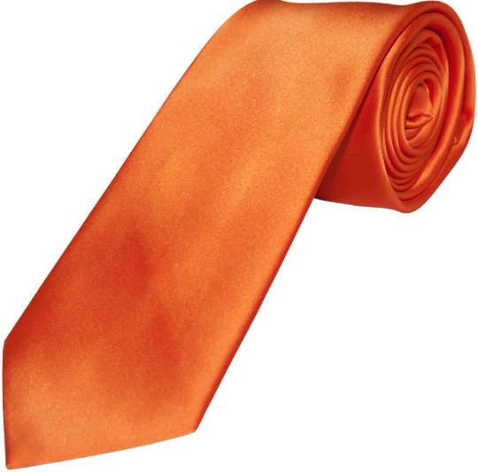 Plain Satin Elasticated Tie burnt-orange Boys 