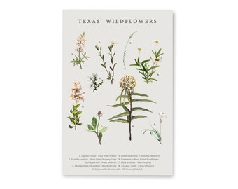 May include: A botanical illustration of nine Texas wildflowers, including Texas White Bonnet, Oklahoma Blackberry, Silver Dwarf Morning Glory, Texas Fragrant Sumac, White Milkweed, Green Milkweed, Blackfoot Daisy, and Country Rain Lily. The illustration is labeled with the name of each flower and its corresponding number.