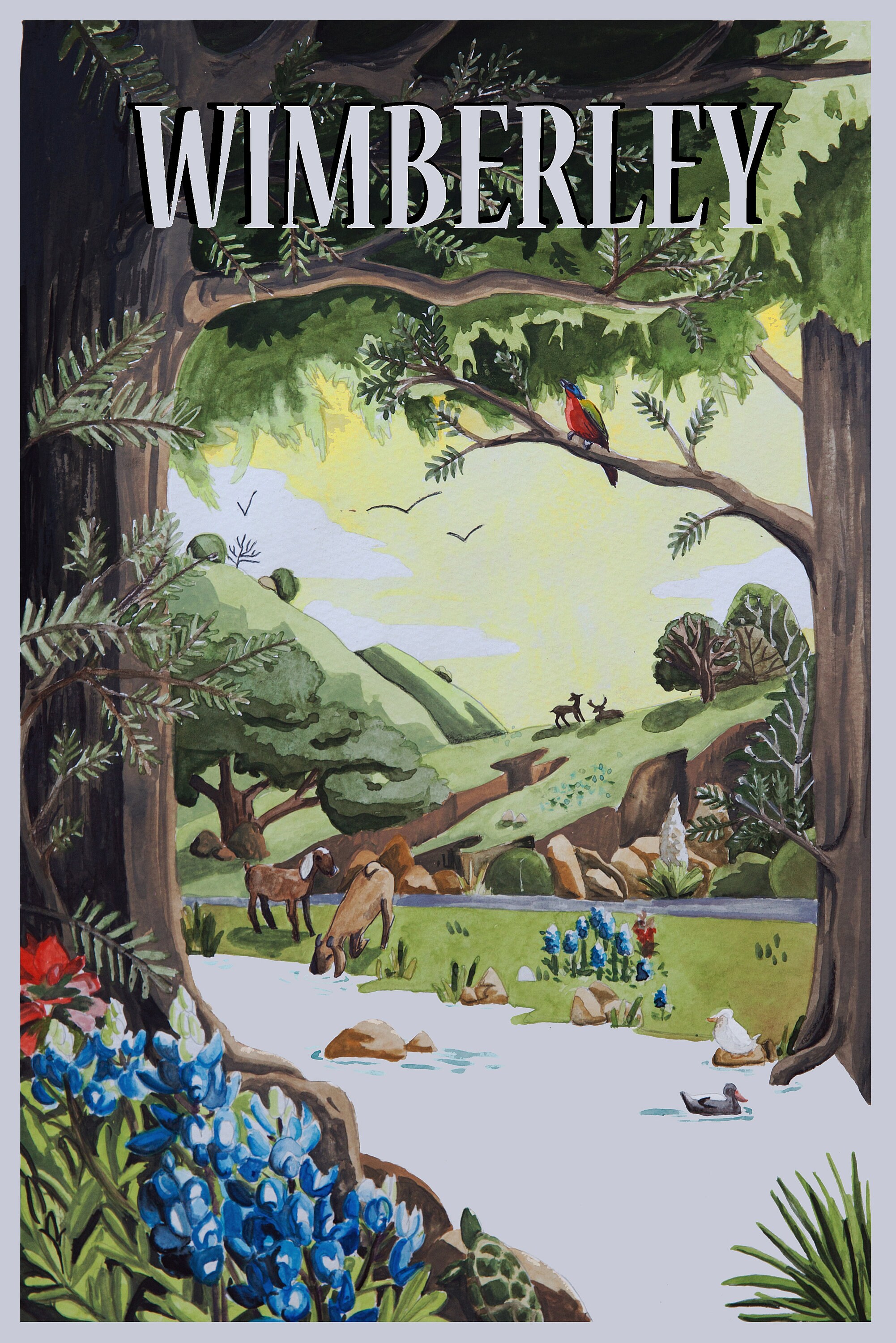 Wimberley Postcard Etsy