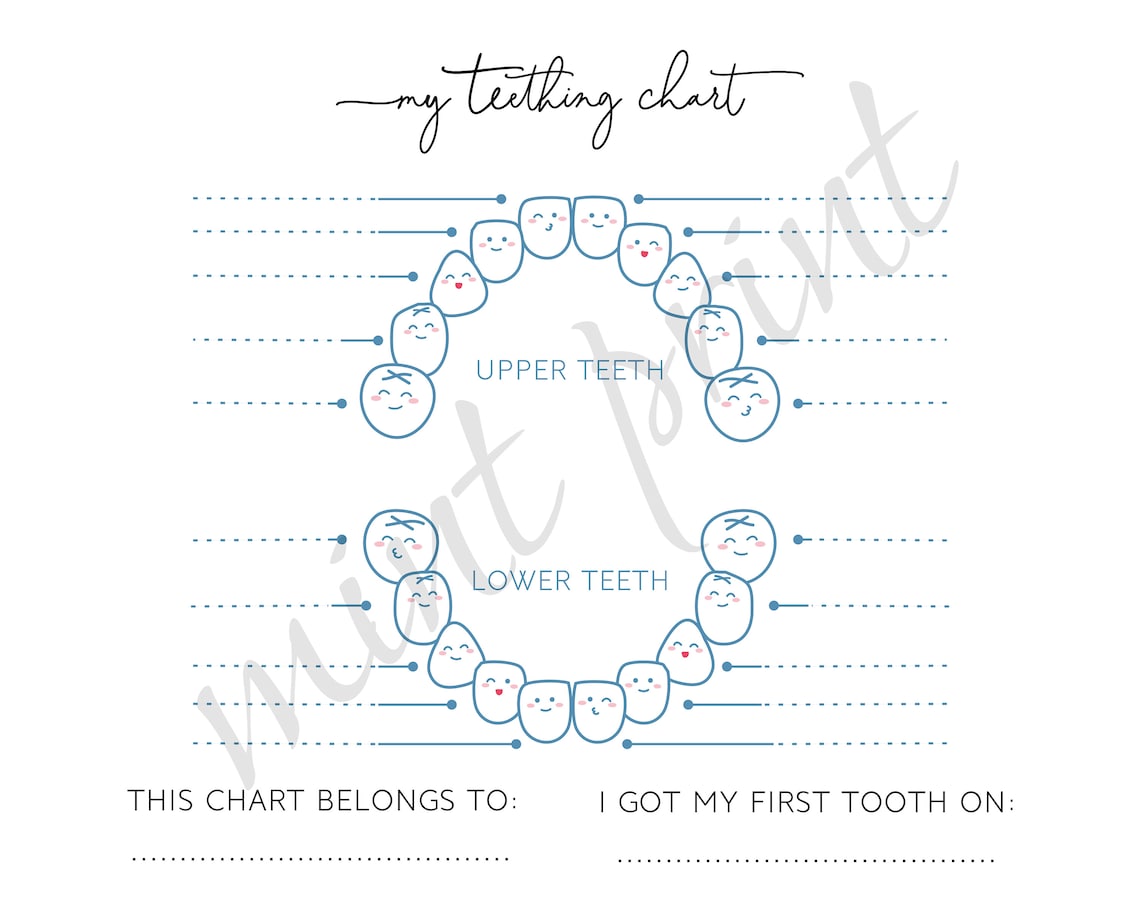 Teething Chart.pdf Baby Teething Chart: Keepsake Tooth Record (PDF & JPG) - Etsy