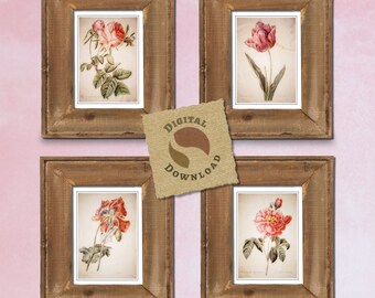 Vintage botanical floral print, 4 pieces, red and pink, collection to print yourself