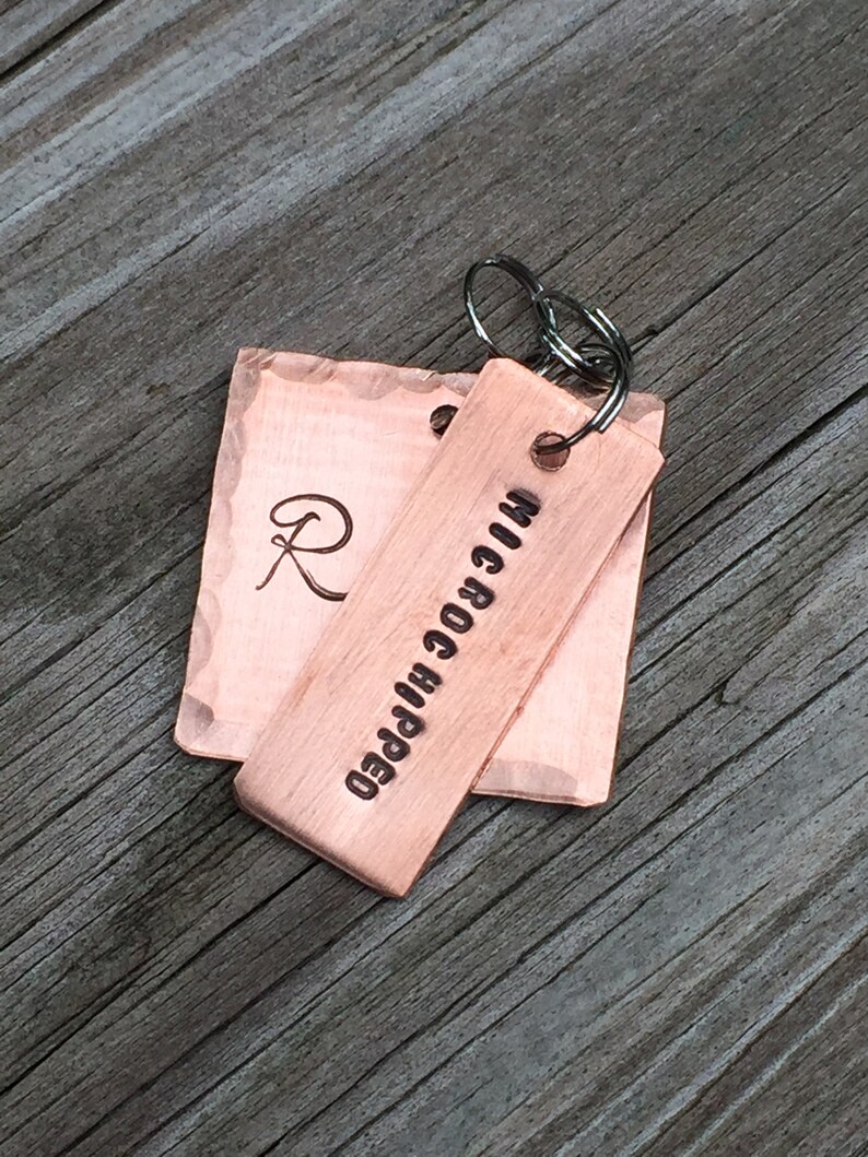 Rabies Vaccinated 1 1/4 Custom Pet Id Tag Dog Name Tag Etsy