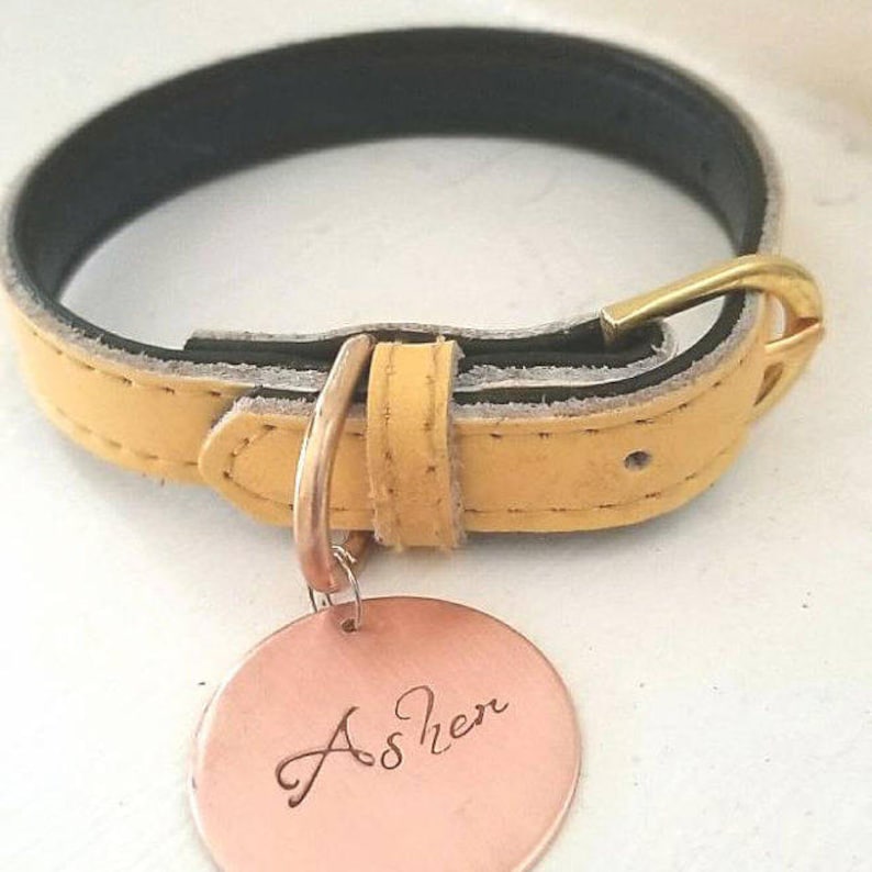 Pet Name elegant Font Large 1 1/4 Custom Pet Id Tag Etsy New Zealand