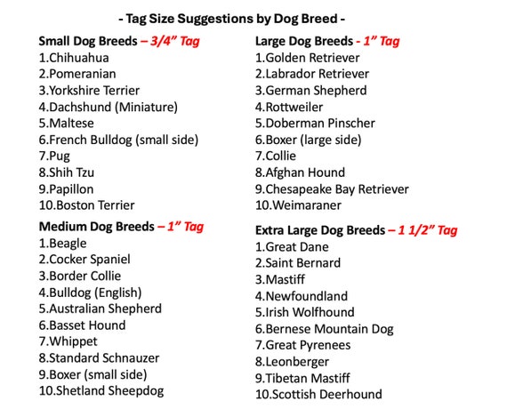 Brayhoo Silent Silicone Dog Tags, Custom Engraved Pet ID Tags For Cats And Dogs, Personalized Small Size Cat Tags With Cute Designs (Designs, Regular