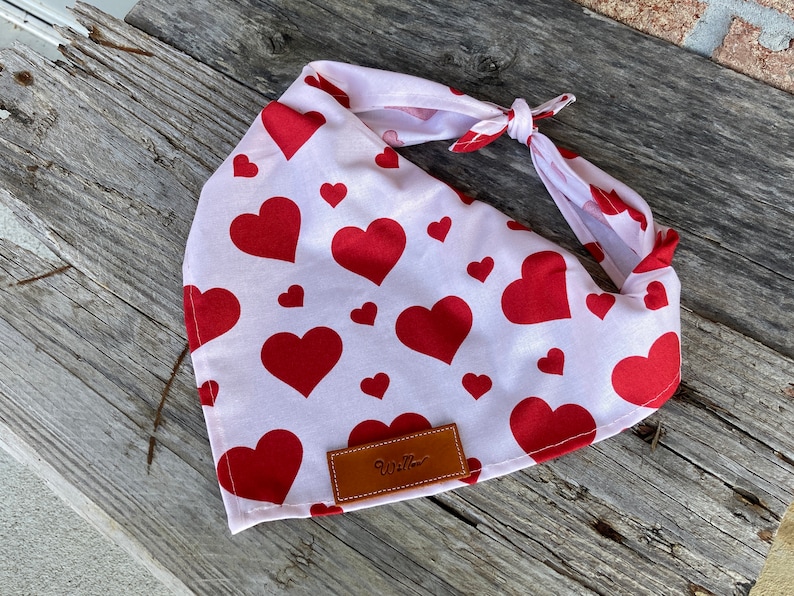 Puede incluir: Un pa&ntilde;uelo rosa claro para perros con un patr&oacute;n de corazones rojos grandes y peque&ntilde;os. El pa&ntilde;uelo est&aacute; atado en la parte superior y tiene una peque&ntilde;a etiqueta de cuero marr&oacute;n con el nombre "Willow" cosido.