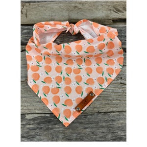 Dog Bandana, Peaches, Dog Bandana, Traditional Tie, Personalized Leather Name Tag Bandanna, Scarf, Pet Accessory, Dog Bandana
