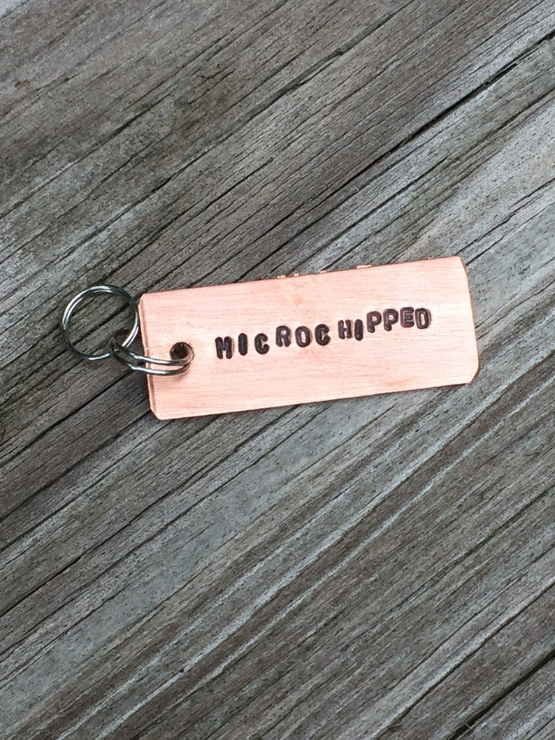 Microchipped 1 1 4 Custom Pet Id Tag Dog Name Tag Etsy