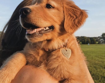 Pet ID Tag for Dogs, Dog Tag, Funny Pet Tags, Cute Pet ID Tags, Dog Tags for Dogs, Popular Dog Tags, Personalized Dog Tag, 1 1/4 Heart Shape