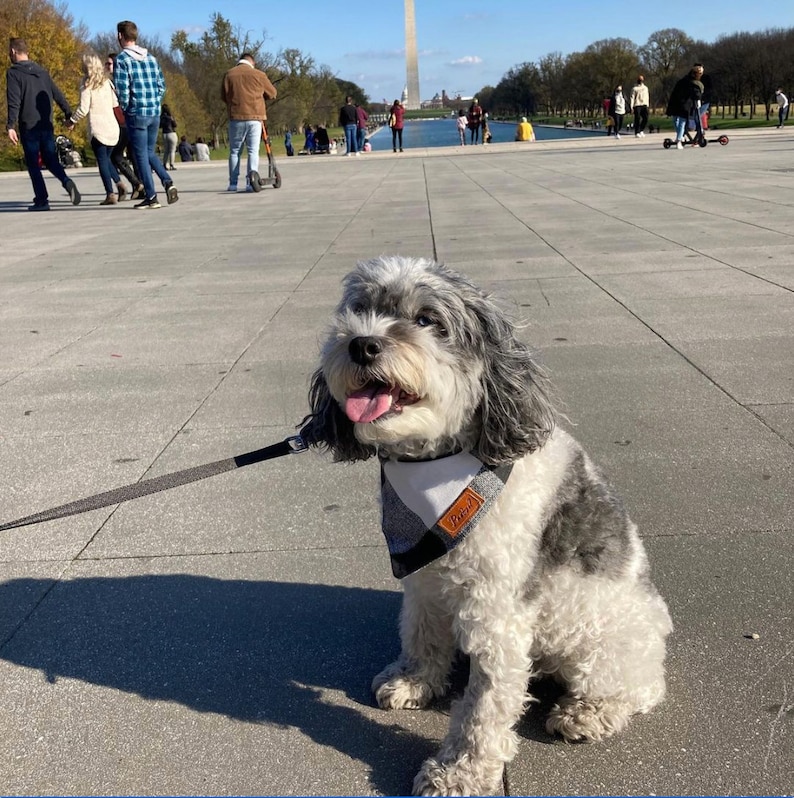 Dog Bandana Blue Black Plaid Dog Bandana Traditional Tie Etsy