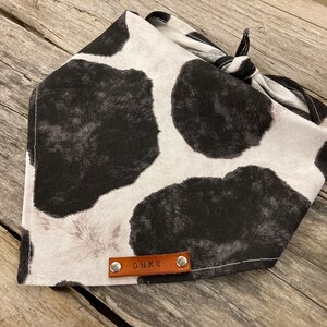Peut inclure: Un bandana blanc et noir &agrave; imprim&eacute; vache avec une &eacute;tiquette en cuir marron qui dit "DUKE" dessus.
