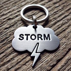 May include: Silver cloud-shaped dog tag with a lightning bolt and the word "STORM" engraved in black.