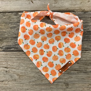 Dog Bandana, Small Pumpkins Toss Watercolor, Traditional Tie, Personalized Leather Name Tag Bandanna, Scarf, Pet Accessories, Dog Bandana