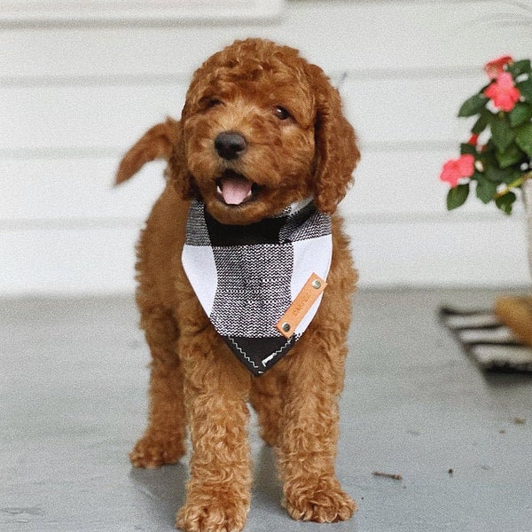 Labradoodle Dog Bandanas, Black White Plaid Dog Bandana, Traditional Tie, Personalized Leather Name Tag Bandanna, Scarf, Pet Accessories