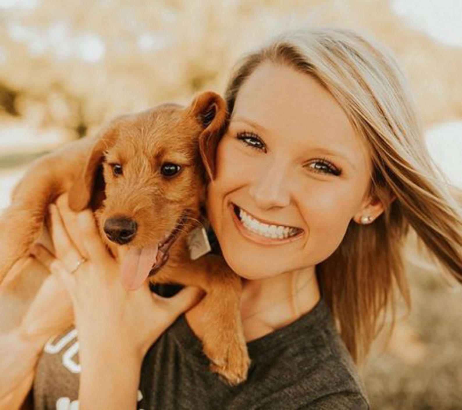 Pet ID Tags for Dogs and Puppies Custom States Funny Shapes Etsy