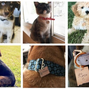 May include: Six different pet collars with personalized engraved tags. The collars are in various colors and materials, including leather, fabric, and metal. The tags are made of metal and wood and feature different designs and engravings.