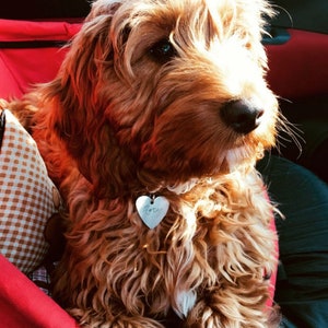 Heart Pet Id Tag (Optional Sterling Silver) Dog ID Tag, Name and Phone Number 1&quot; dog tag for dogs Select Your Metal Custom License Funny