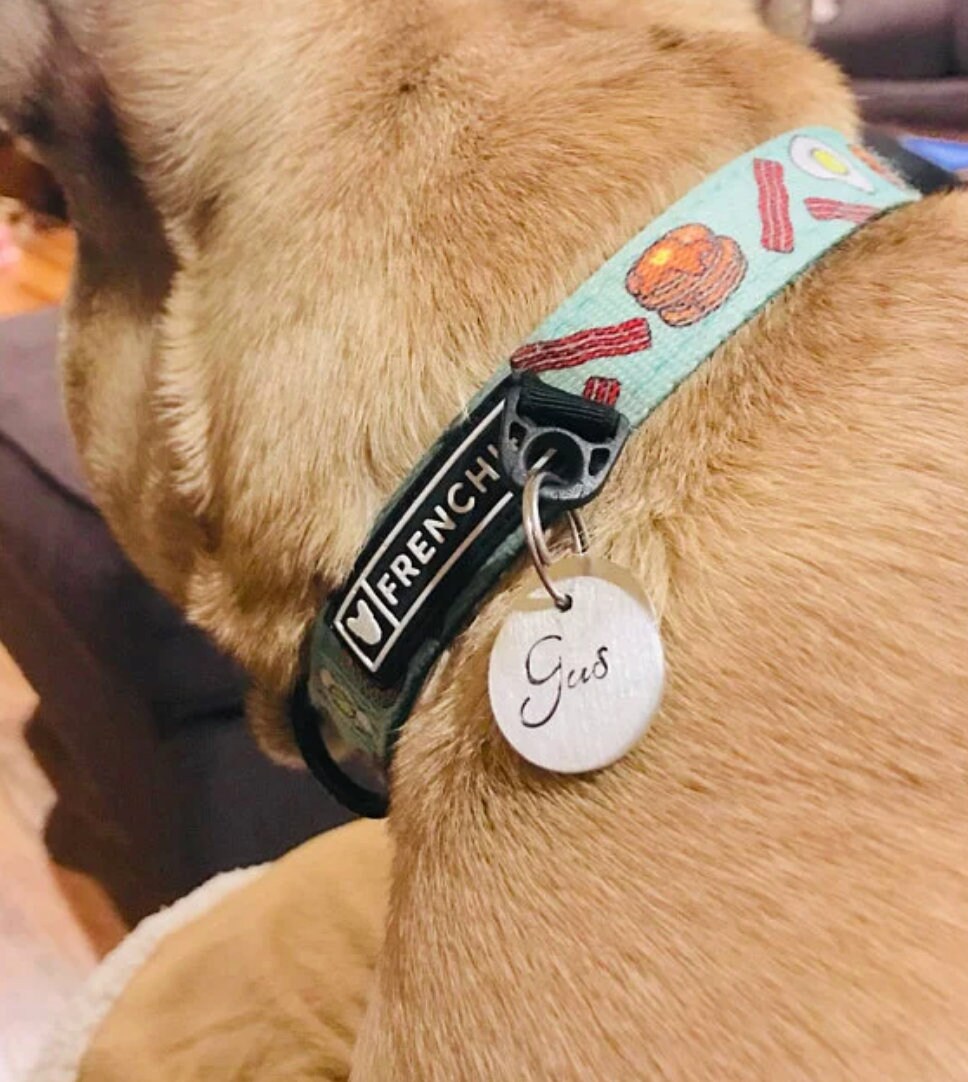 Pet Name elegant Font Large 1 1/4 Custom Pet Id Tag Etsy New Zealand